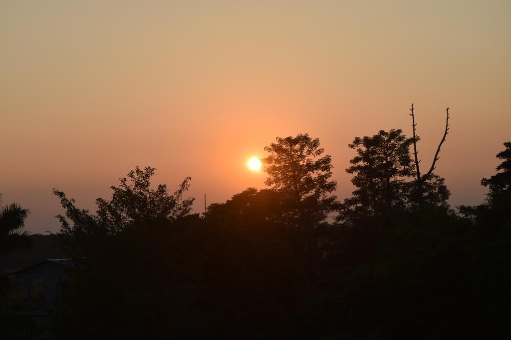 Chitwan Village Resort Sauraha Eksteriør bilde