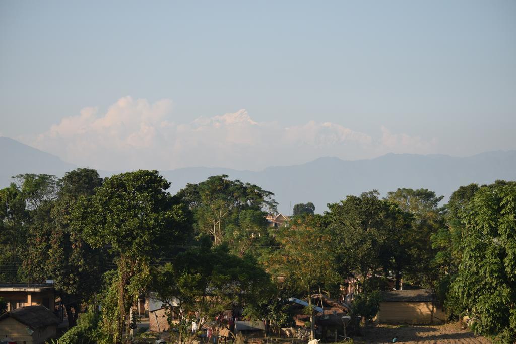 Chitwan Village Resort Sauraha Eksteriør bilde