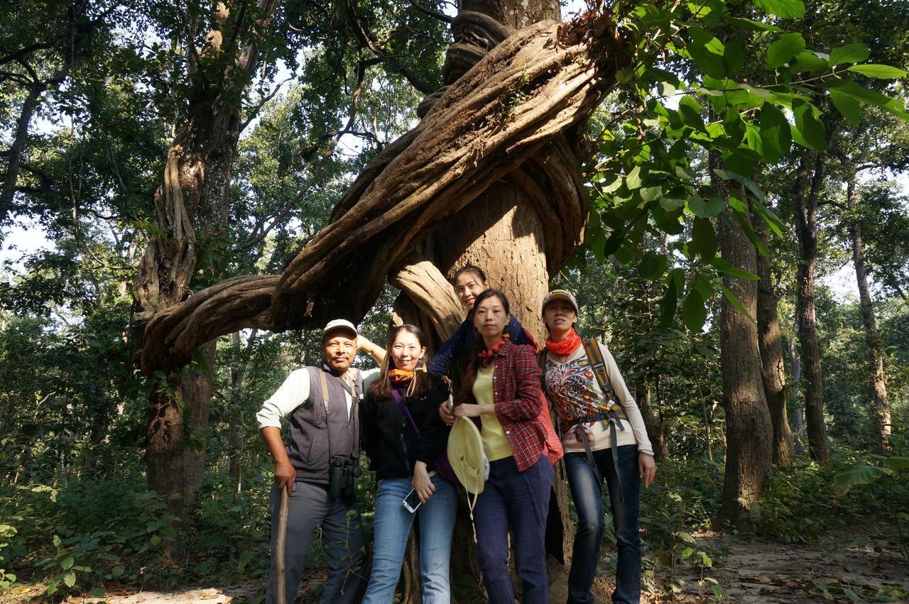 Chitwan Village Resort Sauraha Eksteriør bilde