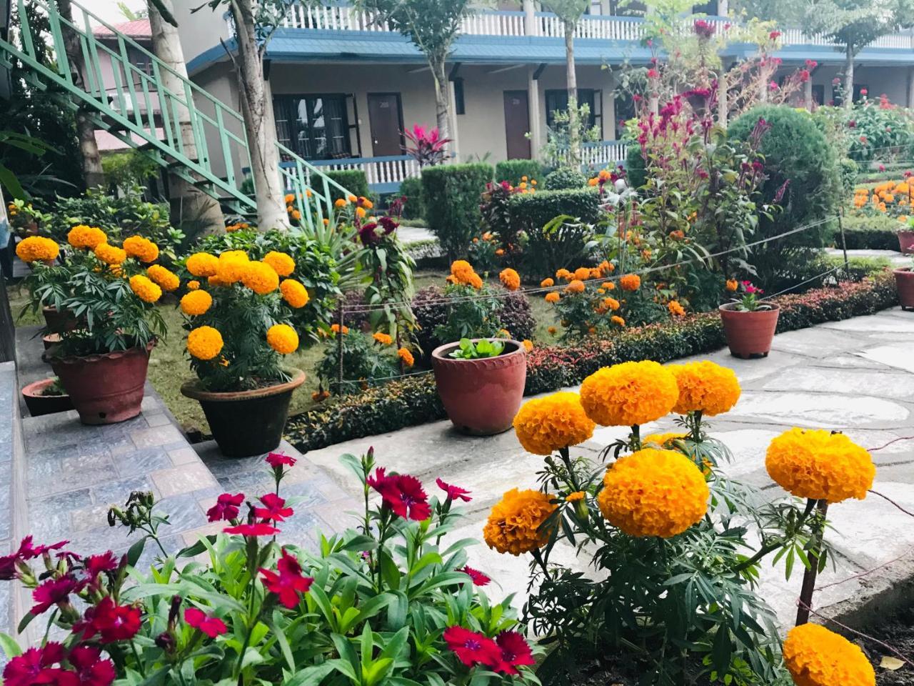 Chitwan Village Resort Sauraha Eksteriør bilde