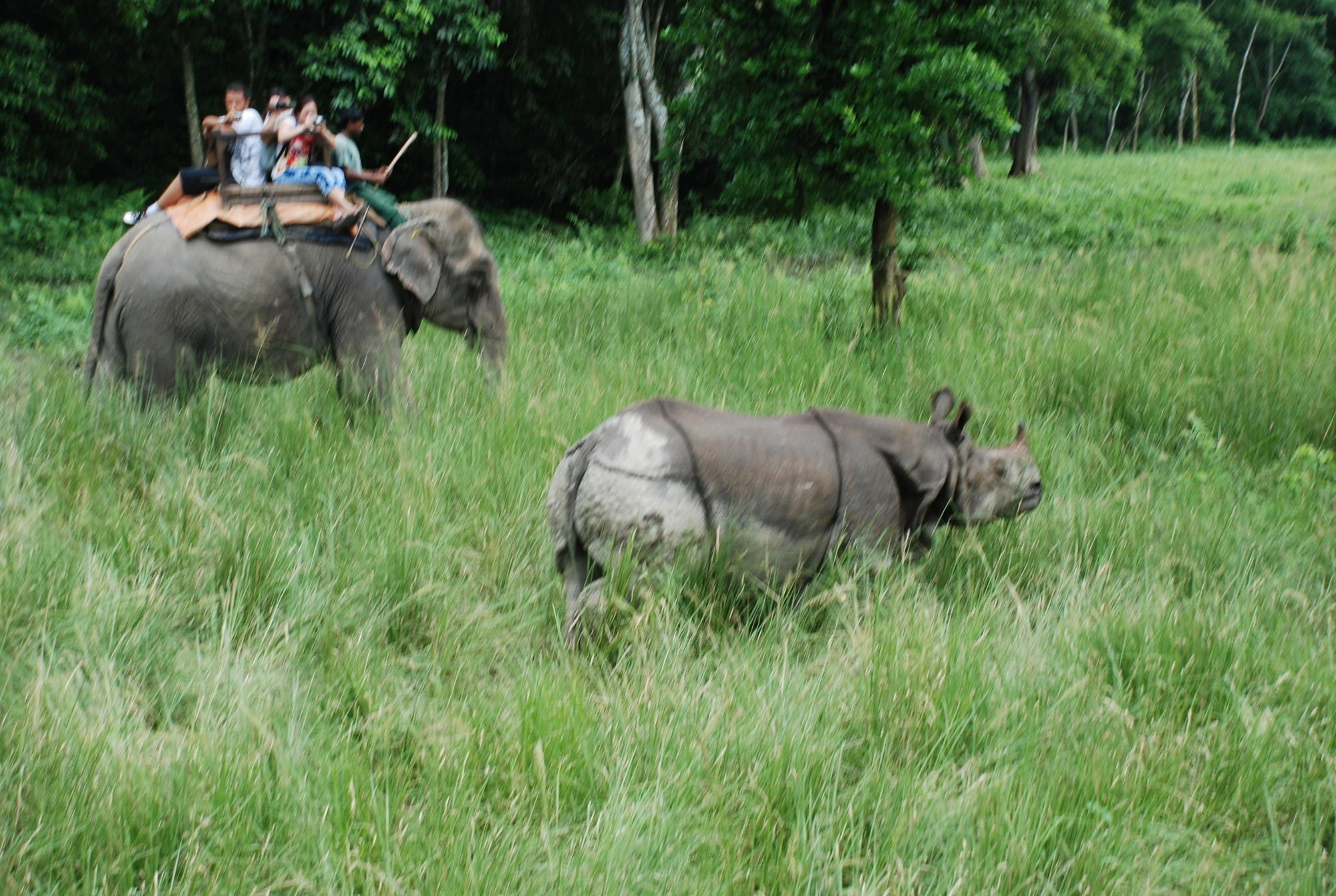 Chitwan Village Resort Sauraha Eksteriør bilde